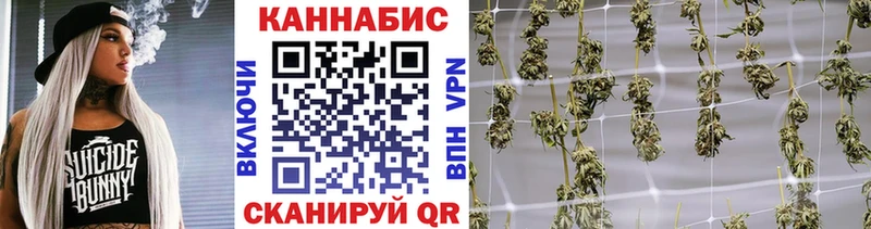 дарк нет наркотические препараты  omg ссылки  Раменское  Бошки марихуана план 